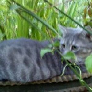 Meet your Posher, Brenda